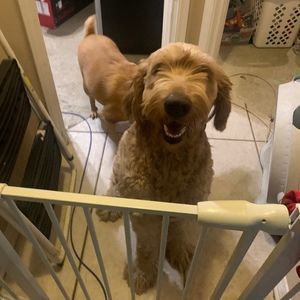 Meet your Posher, Tammy